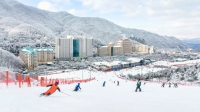 대명소노그룹, 내년 IPO 재추진…주관사에 대신증권 추가