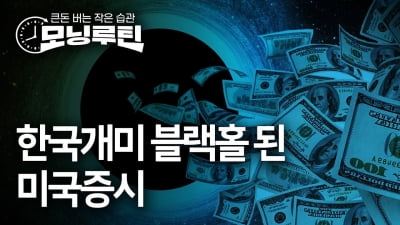 계엄 그 후…"국장은 답 없다" 강남 자산가까지 미장 대이동 [모닝루틴]