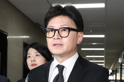 한동훈 "尹 조기퇴진 불가피…제가 총리와 주요 상황 긴밀히 논의" [종합]