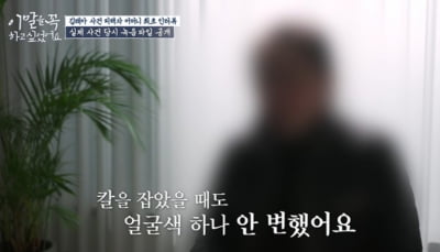 김레아 녹음 파일 공개 '충격'…모녀에 흉기 휘두르며 웃음