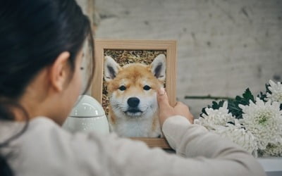 산업기반신보, 민자사업 보증한도 2조원으로 확대…동물장묘업도 부대사업 가능해져