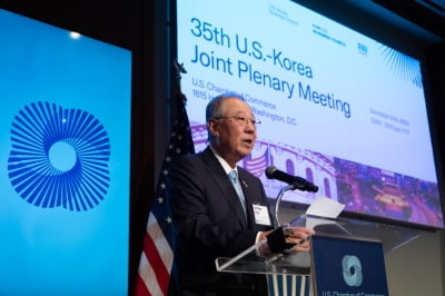 "트럼프 정부 대응 뒷전"…한국 정치에 위축된 한미경제협력 [이상은의 워싱턴나우]