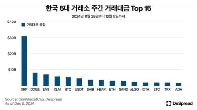 “리플, 국내서 거래대금 높지만...상승세는 글로벌 시장이 주도”