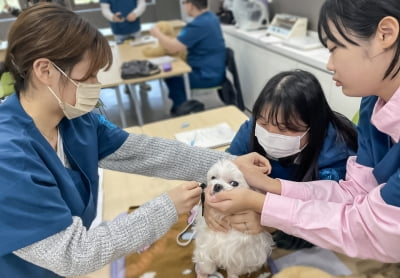 영진전문대 동물보건과, 동물보건사 ‘3년 완전인증’