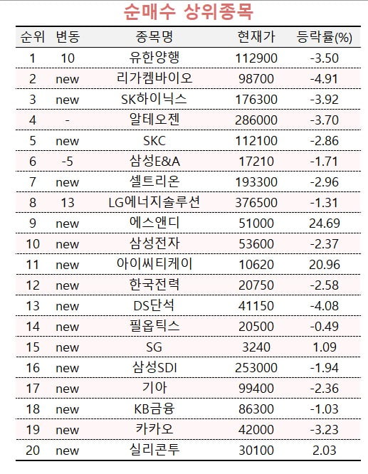 [마켓PRO] '하락은 매수 기회' 수익률 상위 1%, 대형주 집중매수