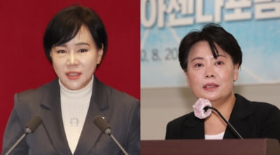 野 "청소대행은 청소가 본분" 압박에도…한덕수, 거부권 행사