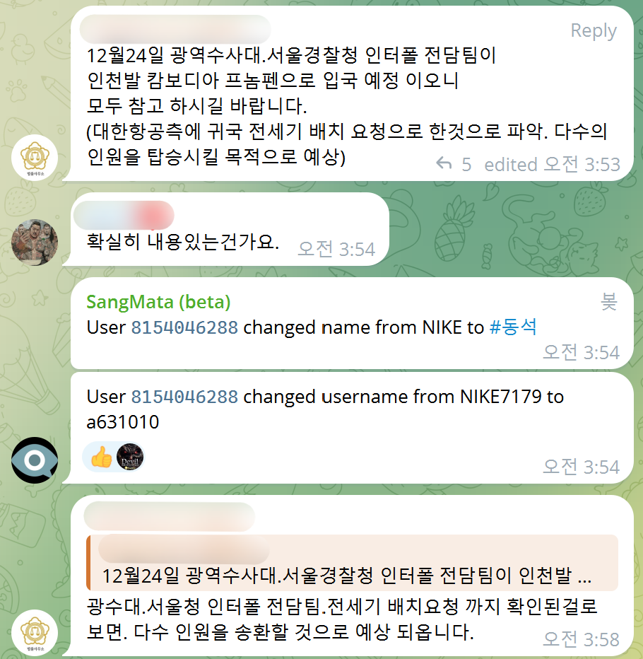 19일 캄보디아 정보교류 텔레그램 단체방 대화 내용 발췌./사진=텔레그램 갈무리