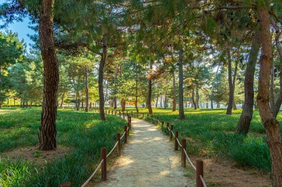 1월엔 여기가 베스트! '한국관광공사가 추천하는 가볼만한 곳'