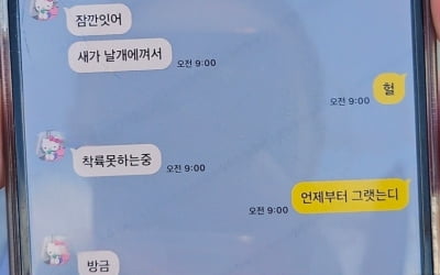 "새가 날개에 꼈어"…사고 직전 여객기 탑승객이 남긴 문자