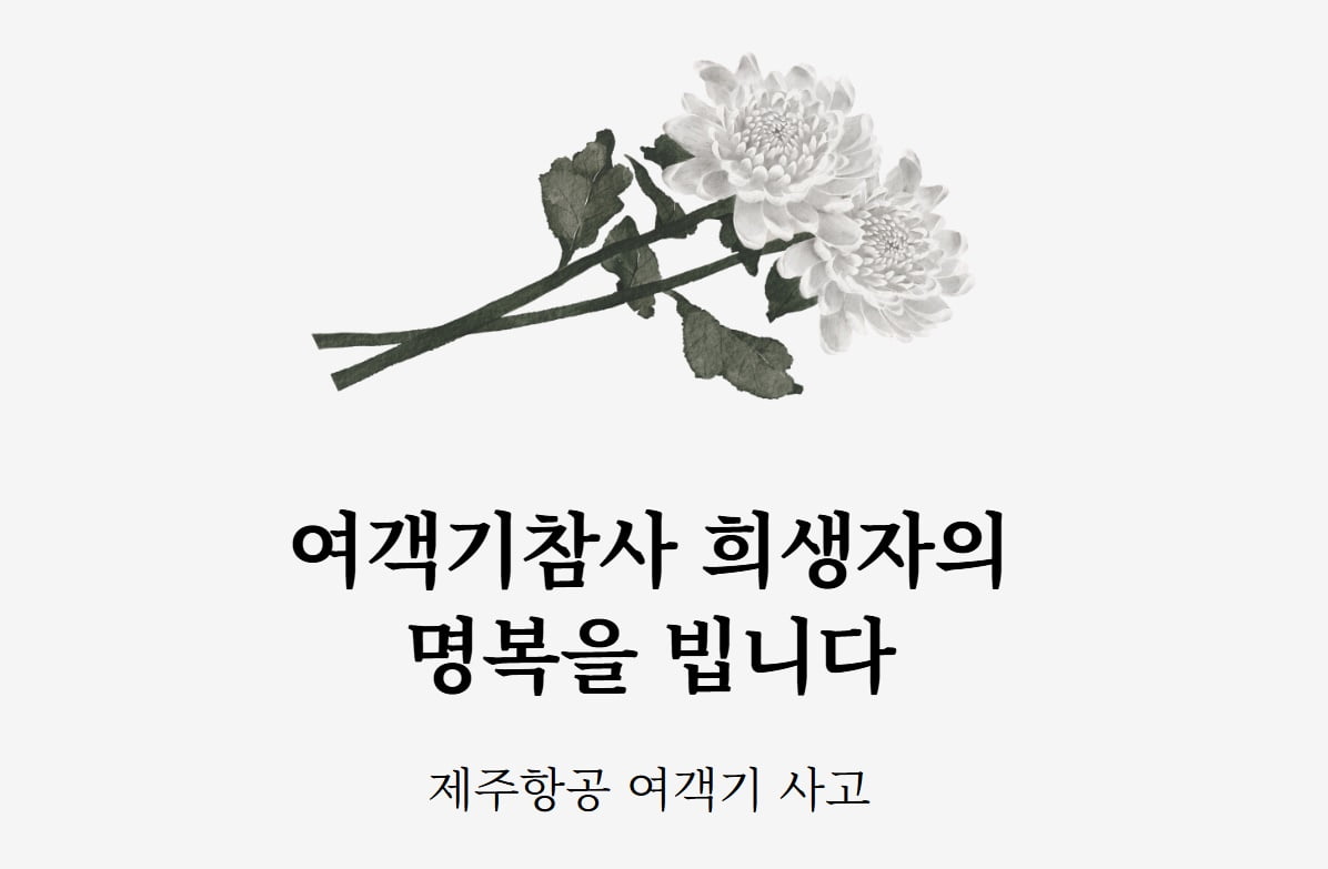 다음 제주항공 여객기 참사 관련 추모 공간. 사진=다음 홈페이지 갈무리