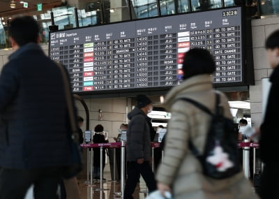 "보잉 737-800 피해야 할까요" 공포…통계에 나타난 진실은 [신현보의 딥데이터]