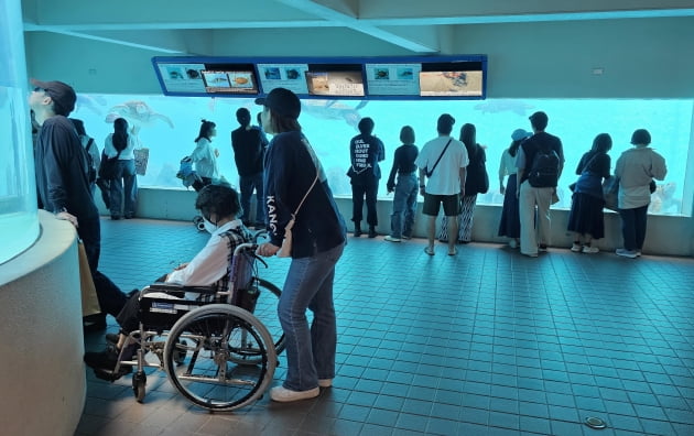 바다쪽 위치한 거북이 수조도 휠체어가 접근하는데 장애가 없다. / JAPAN NOW