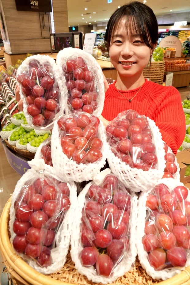 달콤함이 알알이! 롯데백화점 신품종 적포도 ‘글로리 스타’ 판매!