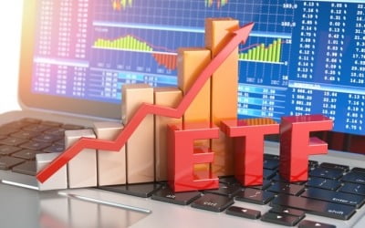 테슬라·MS·일라이릴리…기업 밸류체인 ETF '뭉칫돈'