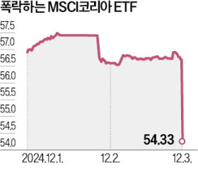 금융시장 대혼란…환율 급등, 코리아ETF 급락