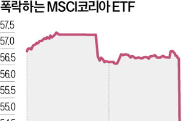 금융시장 대혼란…환율 급등, 코리아ETF 급락