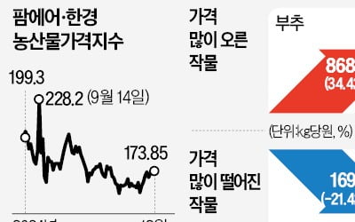 '金귤' 된 제주감귤…도매가, 27년來 가장 높아