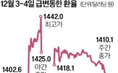 요동친 금융시장…증시 약세, 환율 상승