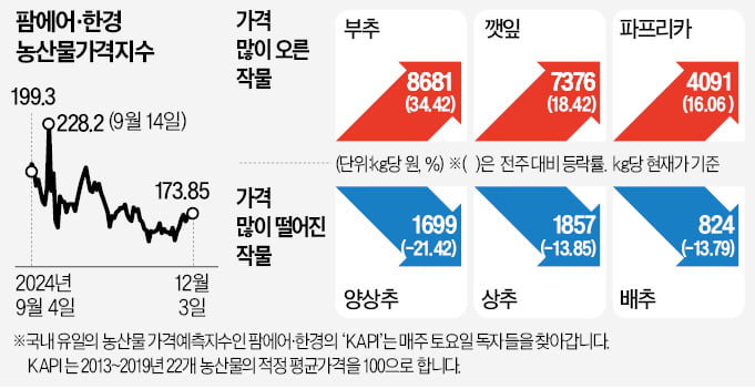 '金귤' 된 제주감귤…도매가, 27년來 가장 높아