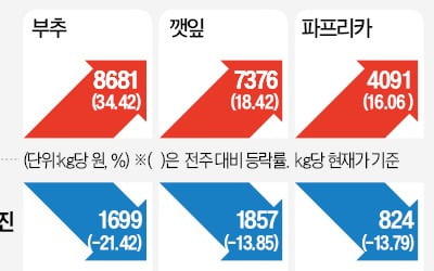 '金귤' 된 제주감귤…도매가, 27년來 가장 높아