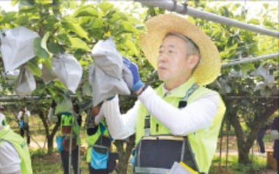 자원봉사로 대통령 표창 받은 농협중앙회