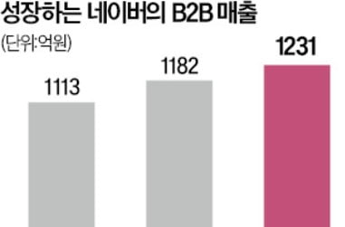 B2B 힘주는 네이버, 마케팅 솔루션도 내놨다