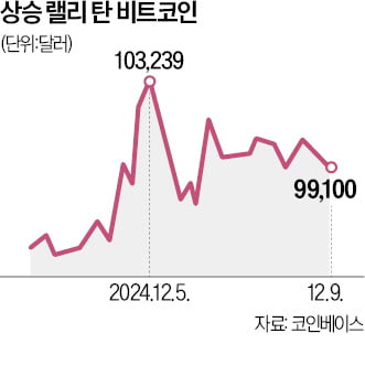 '꿈의 10만弗' 찍은 비트코인…"내년 20만弗 간다"