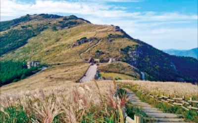 울산 '해양산악레저 특구' 만든다