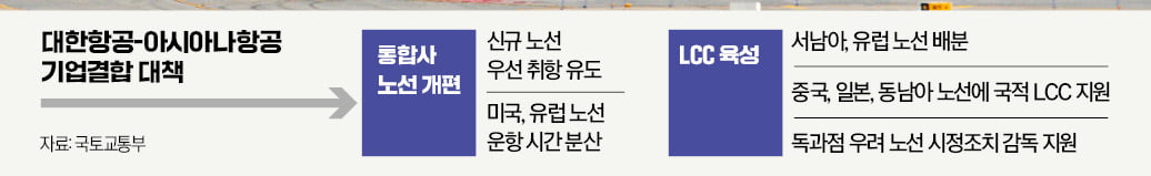 '통합 대한항공' 독과점 막는다…정부, LCC에 운수권 우선 배분