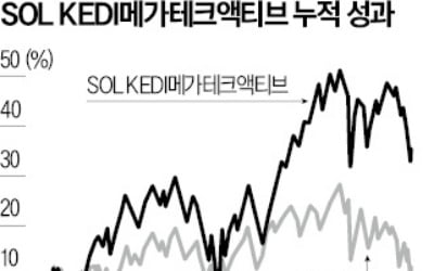 '카멜레온 ETF' 변신은 무죄…올 수익률 10%