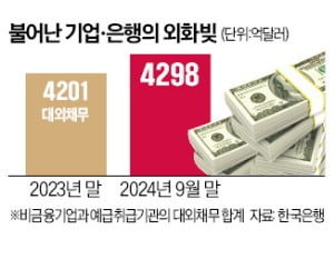 '610兆 외화빚' 기업·은행, 고카지노 토토 공포