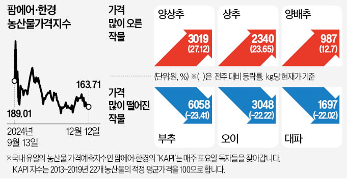 카지노 슬롯 머신 케이크·뷔페…연말 수요 폭증에 카지노 슬롯 머신값 '고공행진'