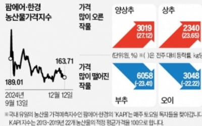 딸기 케이크·뷔페…연말 수요 폭증에 딸기값 '고공행진'