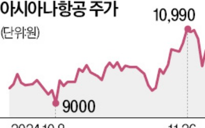 대한항공, 아시아나 통합 박차