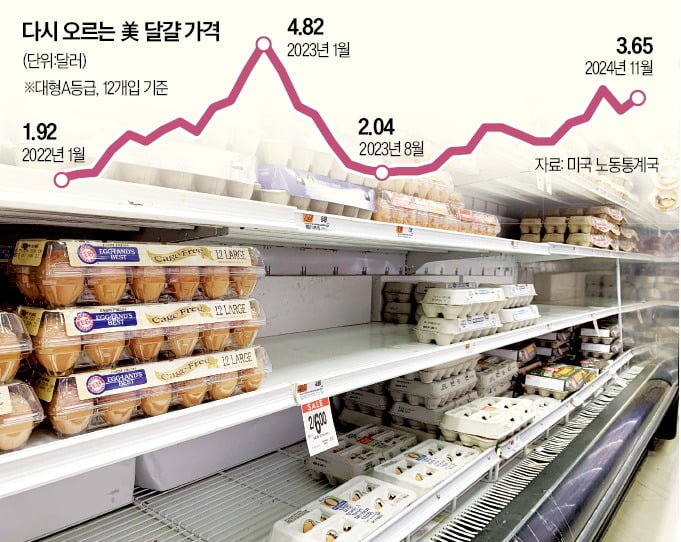 12일(현지시간) 미국 뉴저지 버건카운티에 있는 한 마트의 에볼루션 바카라 무료 매대가 비어 있다.  /뉴욕=박신영 특파원 