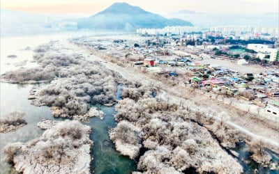 18·19일 올겨울 '최강 한파'…칼바람에 한낮에도 영하권