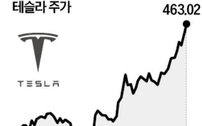 테슬라, 연일 사상 최고가…월가 "650달러까지 갈 듯"