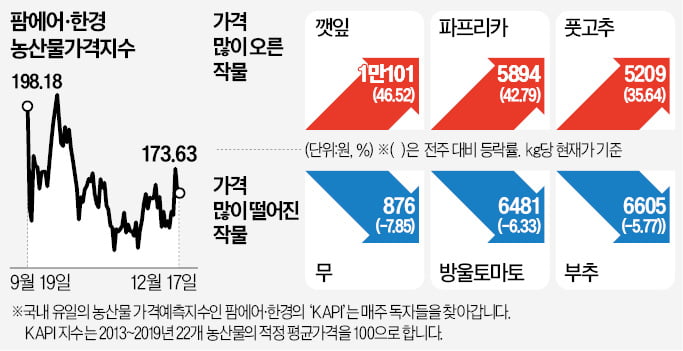 金귤·金딸기…제철과일의 배신