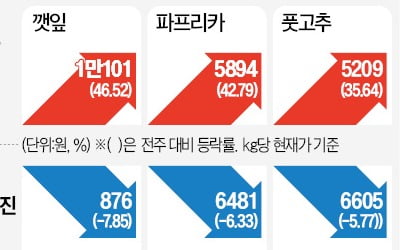 金귤·金딸기…제철과일의 배신