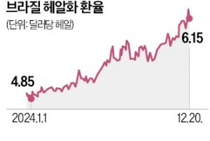 브라질, 환율방어 위해 이틀간 150억弗 투입