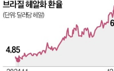 브라질, 환율방어 위해 이틀간 150억弗 투입