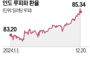 브라질, 환율방어 위해 이틀간 150억弗 투입