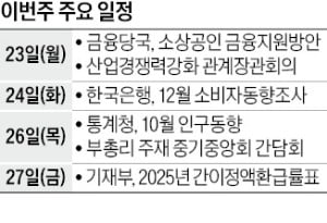 [월요전망대] 탄핵 정국 여파에…소비심리 얼마나 나빠졌을까