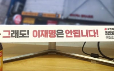 선관위 '이재명 안된다' 현수막 허용…불허 번복