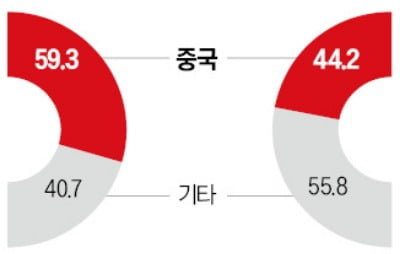 싼 가격 보고 개방했다가…중국에 점령당한 日 태양광