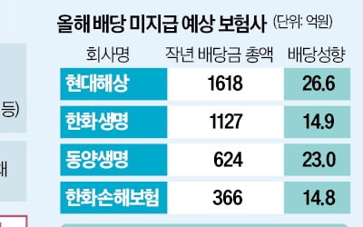 보험사, 호실적에도 '배당 빨간불'…왜?