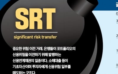 43조원까지 불어난 SRT…글로벌 금융시장 '뇌관'으로 부상