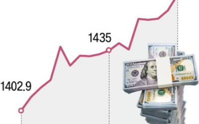 "내달 '트럼프 2기' 출범땐 환율 1500원 간다"