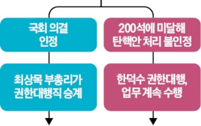 초유의 권한대행의 대행?…최상목 3직 겸임 가능성