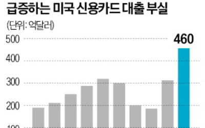 美서 못 갚은 카드빚, 카지노 꽁 머니위기 이후 최대